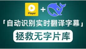 PotPlayer+DeepSeek自动识别翻译字幕 老司机骚操作拯救无字片库