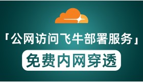 免费域名搭配CloudFlare内网穿透 实现公网访问飞牛及alist小雅等
