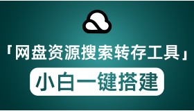 小白搭建网盘资源搜索转存工具 全网资源一网打尽实现追剧观影自由