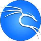 Kali Linux 2025.3 官方原版ISO镜像下载